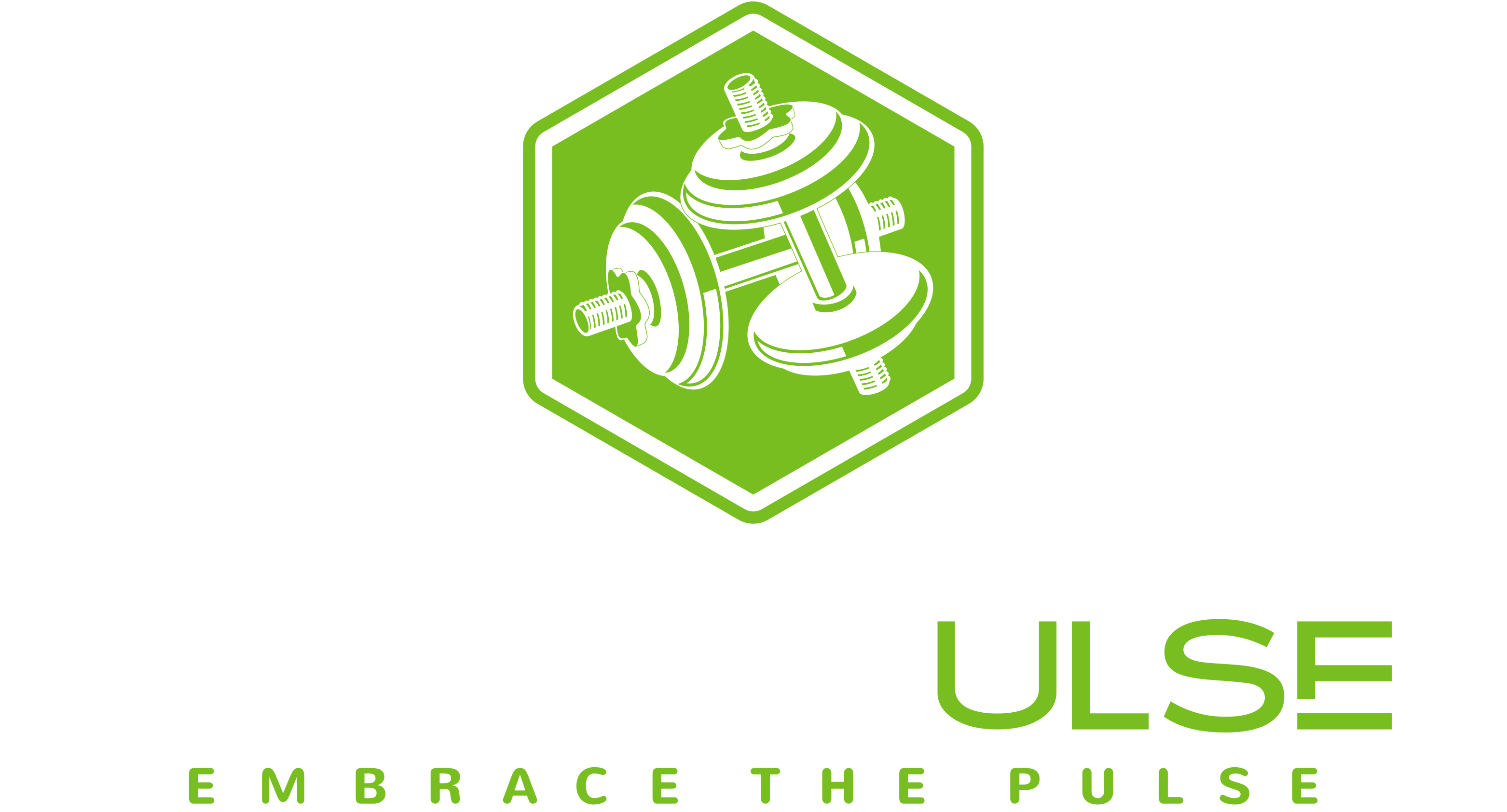 Logo PowerPulse