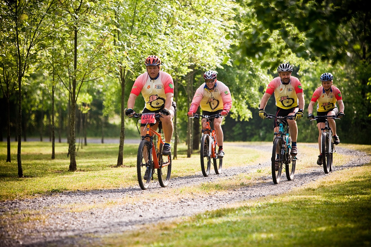 mountain-bikes-766172_1280 PowerPulse bedrijfsevenementen evenementen bedrijfsactiviteiten